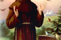 sao_francisco